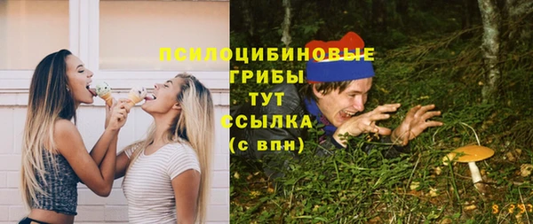 2c-b Нязепетровск