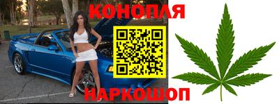 МДПВ Волгодонск