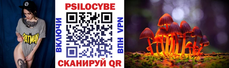 Галлюциногенные грибы Cubensis  сколько стоит  Сызрань 